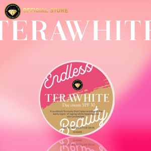 Endless Beauty Terawhite Day Cream SPF30 Anti aging Anti sagging sunblock Make up Base Tinted sunscreen Color Adopt