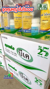 บีเคเพนดิ ไฮโดรแคป+บีเค ซาพิค (บาก้า) ยาคุมวัชพืชนาน 3เดือน แบบดินแห้งในอ้อยปลูกใหม่(พัฒนาเนื้อยาเหลือง)