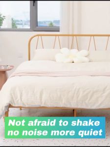 Iron frame bed Iron bed Metal Bed Frame Bed Single/Double Bed Modern simplicity High Load Sturdy king bed