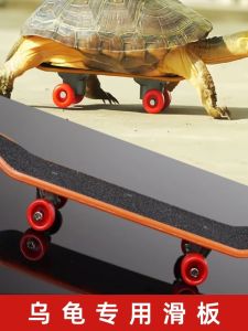 Turtle Special Quick Slide Board Toy Mini Finger Skateboard Large And Small Creative Funny Intellectual Property Car