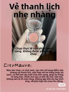 Son Má Hồng Dạng Lì Màu Đơn Natural Blush Color Trial Set Son Má Hồng Dạng Lỏng Che Khuyết Điểm Tông Màu Táo Đỏ