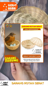 SARANG ROTAN SERAT TEMPAT BERTELUR rumah telur anak burung piyik