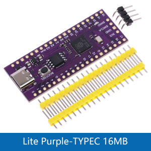 Raspberry Pi Pico Development Board TYPE-C ประสิทธิภาพสูงไมโครคอนโทรลเลอร์ RP2040 128Mbit 4M 16MB core โปรเซสเซอร์ ARM