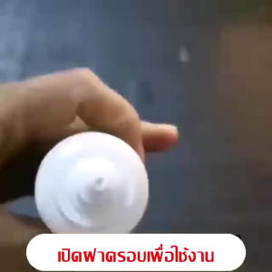 ผงกําจัดปลวกและแมลง บายซอง 75 กรัม กําจัดการติดเชื้อปลวก ฆ่าทั้งรัง เป็นยาฆ่าปลวกในครัวเรือน