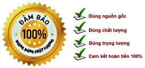 Đai Massage X5 giảm mỡ giảm đau mỏi xương sống các khớp hiệu quả với 5 bi rung hàng chất lượng cao