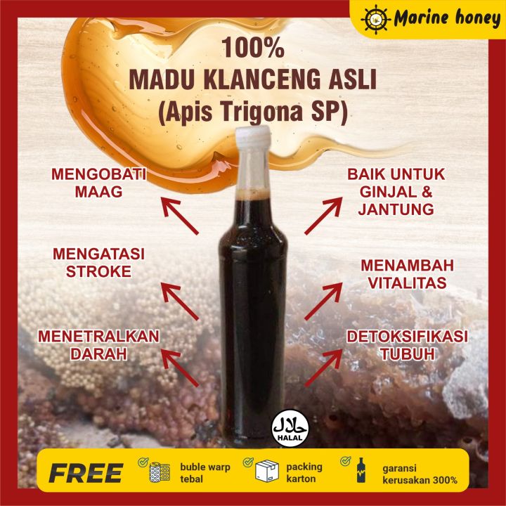 Madu klanceng murni /Madu Lebah Trigona/Kelulut,Madu Asam lambung/Madu Asam urat/Madu kuat