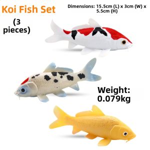 Realistic Educational Model Set