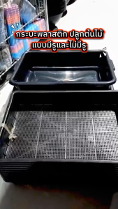 กระบะพลาสติก กระบะทราย ถาดสี่เหลี่ยมพลาสติก กระบะปลูกผัก พลาสติกสีดำ มี 2 ตัวเลือก ขนาด 38x50x11 ซม.แข็งแรง ทนทาน พร้อมส่ง