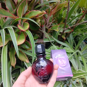 Nước Hoa My Love Phiên Bản Cao Cấp Mùi Ngọt Nhẹ Thanh Nhẹ Dịu Siêu Lôi Cuốn 25ml