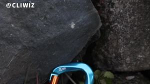 CLIWIZ 25KN Carabiner Leo Núi Khóa Vít Hình Chữ D Khóa An Toàn Bằng Nhôm Thiết Bị Leo Núi Bằng Nhôm Có Chứng Nhận UIAA/CE