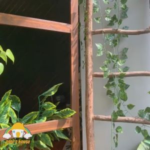 Áo khoác gió trẻ em 2 lớp có nón phối màu chất liệu dù cotton thiết kế chống nắng mưa nhẹ cho bé đi học áo thể thao hoạt hình Disney