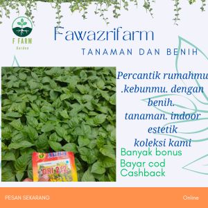 BENIH CABE RAWIT MERAH ORI  212 PAKET HEMAT 30 BATANG