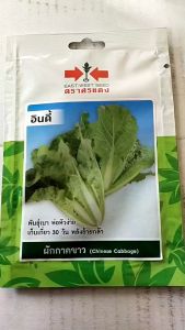 ผักซอง ศรแดง ผักกาดขาว อินดี้ จำนวน 250 เมล็ด/ซอง หมดอายุ 18/10/2568 เมล็ดพันธุ์ ลอตใหม่ งอกดี ปลูกง่าย โตเร็ว พันธุ์เบา ห่อหัวง่าย