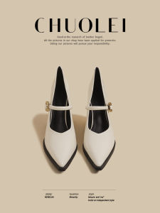 CHUOLEI | New Coarse Heel Mary Jane Shoes White Pointed Toe
