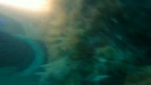 Asafee 2500LM FL022D XM-L2 LED Super Bright Focus Diving Flashlight 3-speed Switch 18650 Battery Underwater 50-100M Scuba Diving Fishing