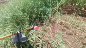 ราคา Early Bird ใบมีด ดายหญ้า 2in1 ส.สนาม ขนาด 8 นิ้ว 2 ใบมีด พร้อม น็อตยึด