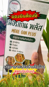 มอร์แกนพลัส ขนาด 1 ลิตร + ชุดแถม (นิคสเปรย์ + ปุ๋ยเกล็ด 20-10-30) สูตรเพิ่มรวง ขั้วเหนียว เร่งการออกรวง เมล็ดเต่ง เม็ดสวย