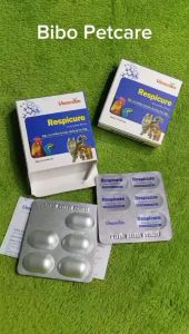 Respicure hỗ trợ hô hấp trên chó mèo chim gà cảnh hộp 10 viên - Bibopetcare