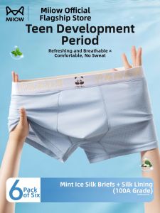 MiiOW | Youth Ice Silk Briefs for Teen Boys
