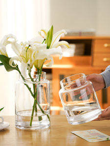 Nordic Style Glass Flower Vase Transparent Water Cultivation Decorative Piece for Living Room Dining Table Rose Lilies Special Use