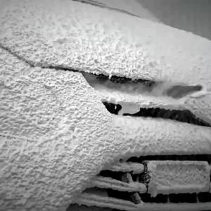 5PCS Car Detailing Brushes Clean Seat Detail Brush Car Wash Slit Brush for Cleaning Dust Removal Car Interior