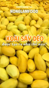 Xoài Sấy Dẻo NONGLAMFOOD Hàng Loại 1 Chuẩn Xuất Khẩu Không Xơ | Trái Cây Sấy Hoa Quả Sấy Túi 500g