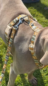 Woolly Wolf Soft Webbing Dog Harness | 5-Point Adjustable RPET Eco Harness XXS-L