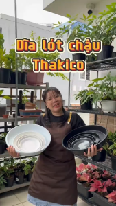 Combo Dĩa nhựa lót chậu Thakico - Trắng/Đen - Đa dạng kích thước | Độc quyền Family Garden