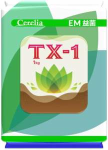 Bacillus Subtilis 枯草芽孢杆菌 1kg (TX-1) 35 bilion /g 350亿/g 菌数量