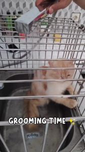 DOCAT SHAMPO KUCING ANJING ANTI KUTU ANTI JAMUR MELEMBUTKAN BULU