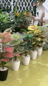 DAUN KELADI AGLONEMA PLASTIK DAUN ARTIFICIAL DEKORASI BUNGA HIAS MURAH BUNGA PLASTIK JUMBO DEKORAS BUNGA HIAS ARTIFISIAL MURAH
