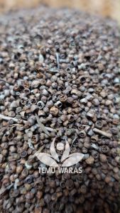 Mrico atau Merica Bolong 500gr - Gelam Organik Asli Hutan