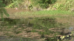 น้าพล พลลัวร์ เหยื่อตกปลา รุ่น ฟินิกซ์ ขนาด 3.6 ซม. น้ำหนัก 7 กรัม เบ็ด 1 โอ ปากหนาไม่ฉีกขาดง่าย แอ็กชั่นดี ใช้งานยาว ตกปลา เบ็ด เหยื่อปลอม