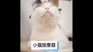 เครื่องนวดหัวแมว นวดแมว เครื่องนวดพกพา ชาร์จ USB และ สบาย ขนาดเล็กพกพาสะดวก