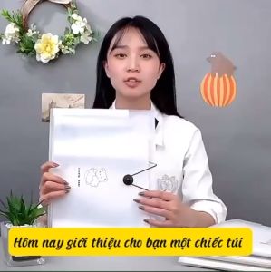 Túi đựng tài liệu hồ sơ a4 tệp đựng tài liệu nhiều ngăn bìa kẹp file túi đựng tài liệu A4 phụ kiện văn phòng phẩm Lucky MIYABI