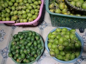 PINANG WANGI jambe muda dan tua Netto 1kg