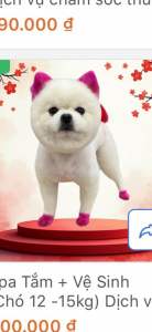 Thuốc Kích Thích Thèm ăn