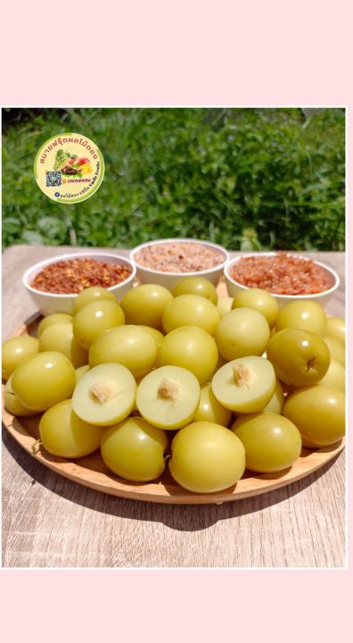 พุทราดอง พุทราดองเกลือ พุทรานมสดดอง ผลไม้ดอง 500g แถมฟรีพริกเกลือ