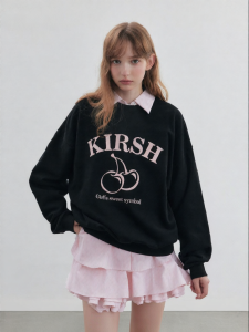 Embroidered Casual Womens Sweatshirt Round Neck
