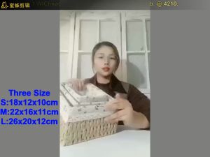 [Ganlitong] ตะกร้าสานใส่ของแบบตั้งโต๊ะเชือกกระดาษหวาย + ผ้าลินิน + ตะกร้าฟางเหล็กกันน้ําทําด้วยมือผ้าขนหนูภาชนะบรรจุ