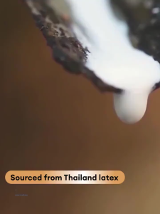 CROTE  6CM/10CM Latex Composite Sponge Mattress，Single/ Queen/King Skin-friendly Cotton Tatami Foldable Mattress Prevent Dust Mites  Bedroom Mattress