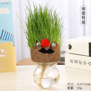 office decor Small grass potted Creative Grow Bag Pot Grass Head Doll Planting Bag Flower Pot Desktop Decor Gift【创意草头娃娃大眼萌仔小盆栽草娃娃长草植物栽培桌面种植抖音同款】