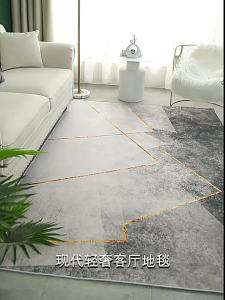Luxury Minimalist Carpet