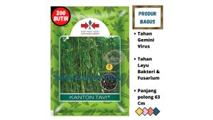 Benih Bibit Kacang panjang Hijau Manis KANTON TAVI 200 Butir dari Cap Panah Merah Biji Sayuran
