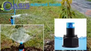 สปริงเกอร์หัวฉีดสเปรย์ 90 องศา ใส่ได้ทั้งเกลียว 1/2" และ 3/4" แพ็ค 50 ชิ้น ร้านพรเกษตร หัวสปริงเกอร์ 1 2 นิ้ว หัวสปริงเกอร์ 3 4 นิ้ว - Lazada