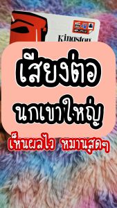 BigT Shop เสียงต่อ นกเขาใหญ่ แฟลชไดร์ฟ USB เสียงดังฟังชัด เสียงนกเขาใหญ่แท้ เสียงดังฟังชัด100%