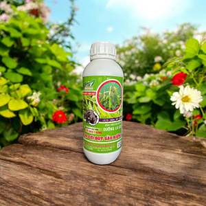 PHÂN BÓN SẦU RIÊNG - SIÊU TẠO CƠI ĐỌT - BUNG ĐỌT SẦU RIÊNG Chai 1 lít.