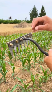 5/6/7/8 Teeth Carbon Steel Garden Hand Rake Farm Tool Weeding Scarifier Agricultural Nail Harrow Metal Harrow Garden WeedingTool