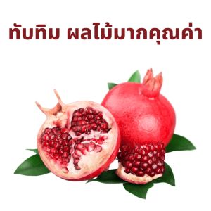 ส่งฟรี #ทับทิมเม็ดกิฟฟารีน #สารสกัดทับทิม กรานาดา ทับทิมกิฟฟารีน ขนาด30แคบซูล นํ้าทับทิมชนิดผง 160มก. สารสกัดจากทับทิม 10มก.