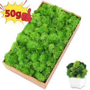 30/50g Artificial Green Moss Simulation Plants Eternal Life Moss Grass Home Garden Decoration Mini Potted Landscape DIY Crafts Gifts